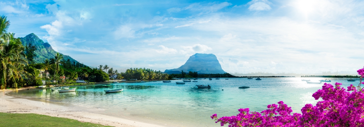 כרטיסי טיסה זולים ל